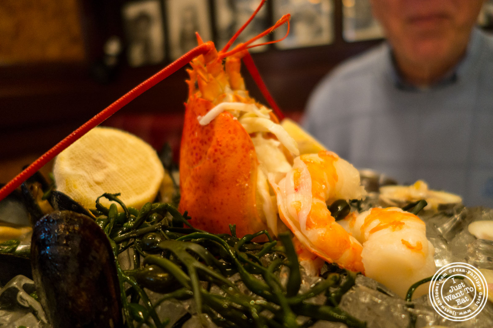 Lobster and shrimp at Rue 57 in NYC, New York