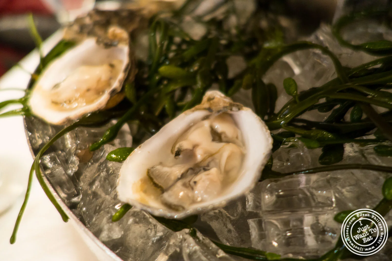 Oysters at Rue 57 in NYC, New York