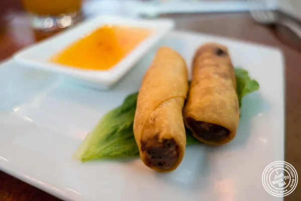 Vegetable Spring rolls at Luscious Thai in NYC, New York