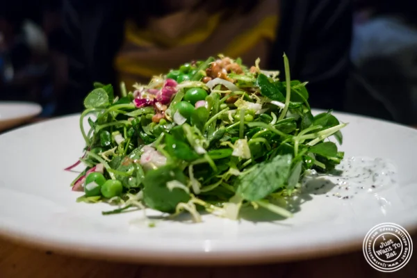  Spring pea salad at L'Artusi, Italian Restaurant in the West Village, NYC, New York