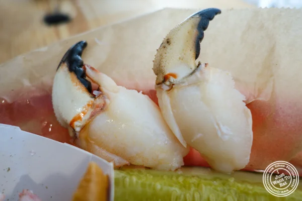 Crab claws at Luke's Lobster in Hoboken, NJ