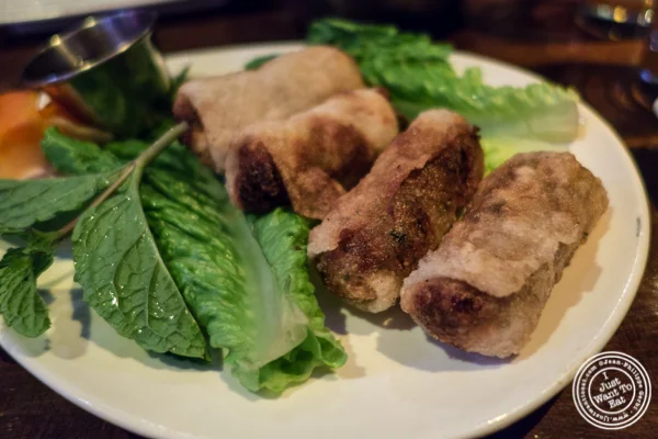 Vegetable Spring Rolls at OBAO, South East Asian cuisine in Hell's Kitchen