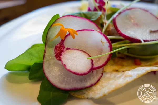 Fish tacos at The Harold in NYC, New York