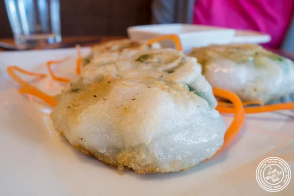 Vegetable dumplings at Bangkok City in Hoboken, NJ