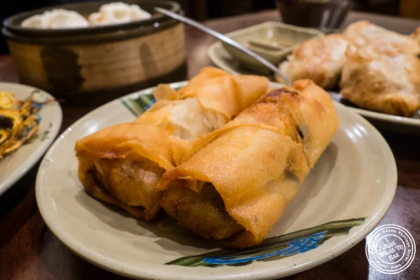 Vegetarian spring rolls at Vegetarian Dim Sum House in ChinaTown, NYC, New York