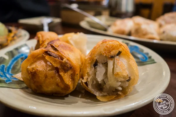 Vegetarian spring rolls at Vegetarian Dim Sum House in ChinaTown, NYC, New York