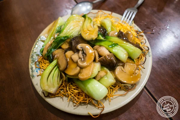 Three mushrooms pan fried noodles at Vegetarian Dim Sum House in ChinaTown, NYC, New York