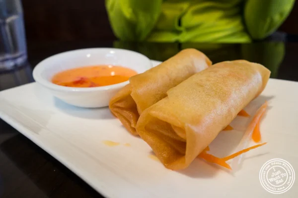 Vegetable Spring Rolls at Ramen Thukpa in the West Village, NYC, New York