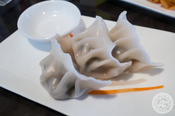 Pork dumplings at Ramen Thukpa in the West Village, NYC, New York