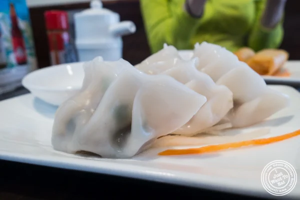 Pork dumplings at Ramen Thukpa in the West Village, NYC, New York