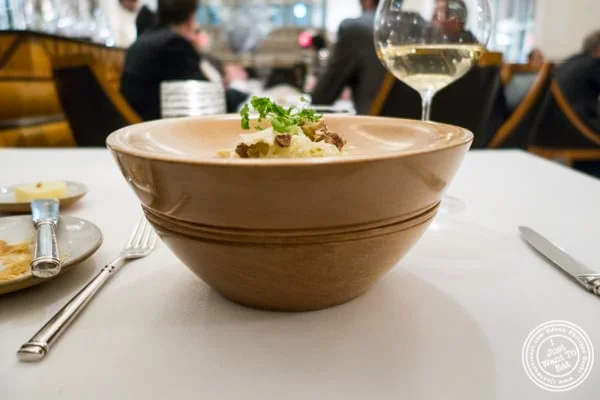 Waldorf salad bowl at Eleven Madison Park in NYC, New York