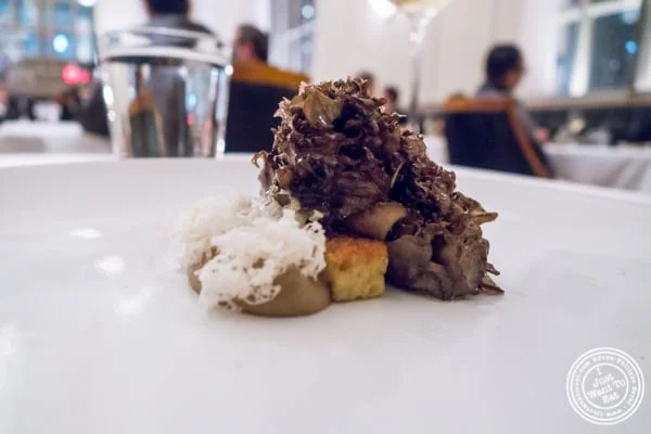 Hen of the woods mushroom at Eleven Madison Park in NYC, New York