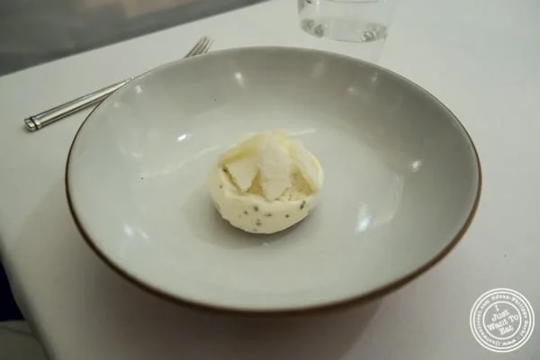 Milk and honey ice cream at Eleven Madison Park in NYC, New York
