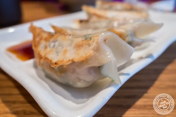 Pork gyoza at Katsu Hama in NYC, New York