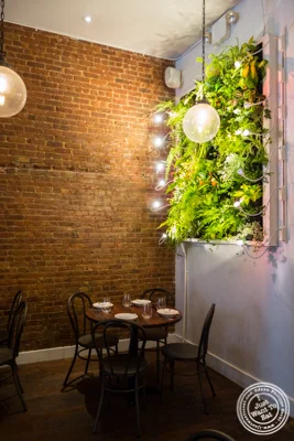 Dining room at Gran Morsi, Italian restaurant in TriBeCa, NYC