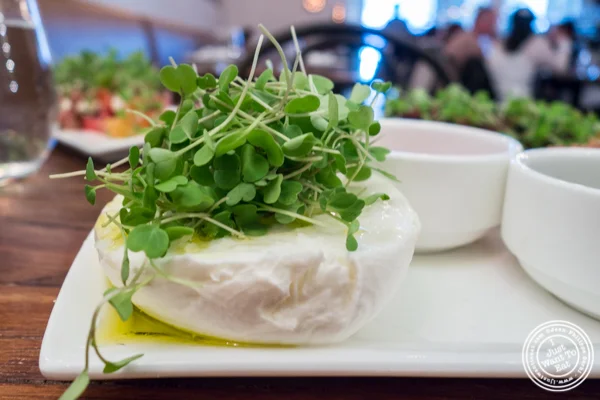 Mozzarella di Buffala at Gran Morsi, Italian restaurant in TriBeCa, NYC
