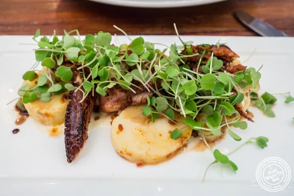 Grilled octopus salad at Gran Morsi, Italian restaurant in TriBeCa, NYC