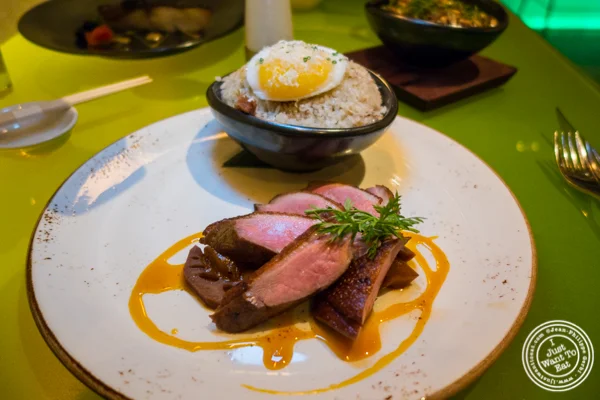 Duck Duck Duck at The original Morimoto in Philadelphia, PA