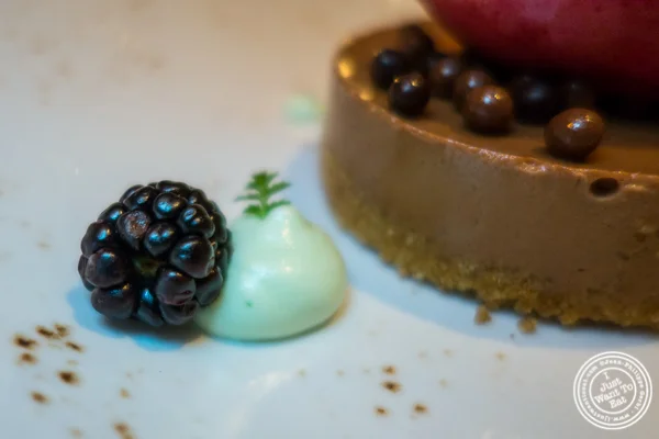 Raspberry and meringue at The original Morimoto in Philadelphia, PA