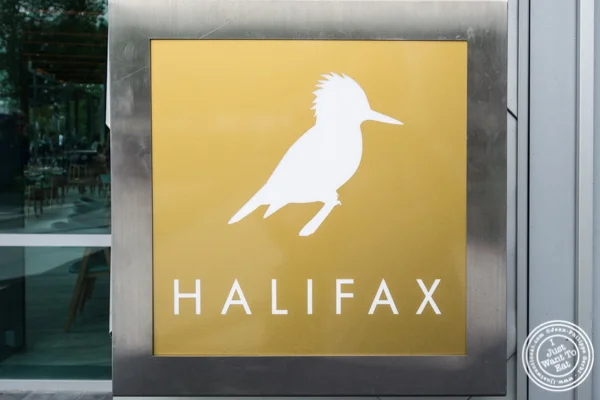 Belted Kingfisher at Halifax in the W Hotel in Hoboken, NJ