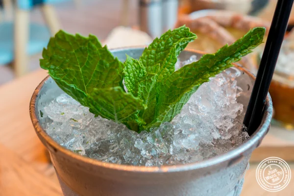 Yankee Julep cocktail at Halifax in the W Hotel in Hoboken, NJ