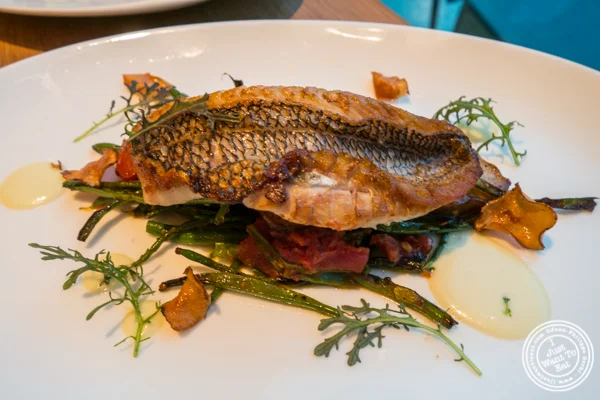 Black sea bass at Halifax in the W Hotel in Hoboken, NJ