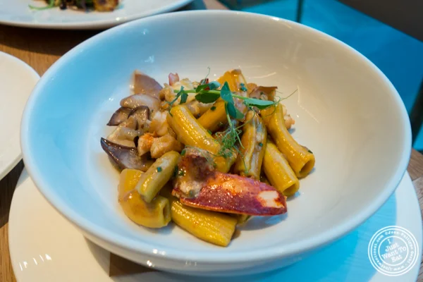 Lobster rigatoni at Halifax in the W Hotel in Hoboken, NJ