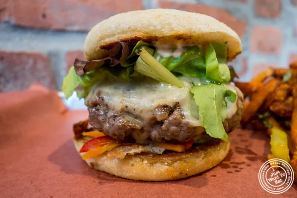 Burger at The Brooklyn Tree in New York