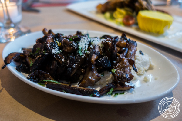 Wild mushrooms at Bread in Lolita, NYC