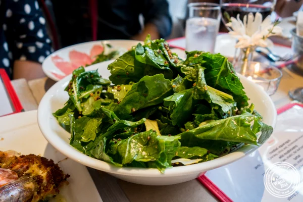 Baby Kale salad at Bread in Lolita, NYC
