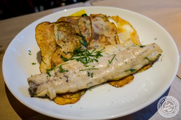 Branzino at Bread in Lolita, NYC