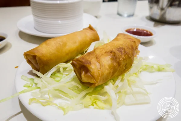 Spring rolls at Bite of Hong Kong in Chinatown, NYC