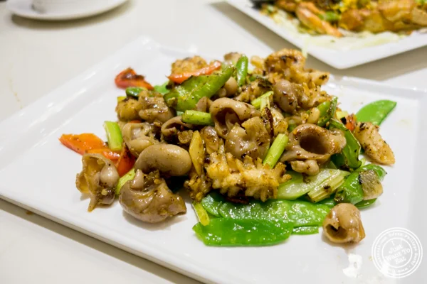 Fish maws and dry squid in XO sauce at Bite of Hong Kong in Chinatown, NYC