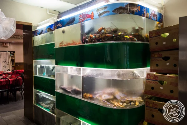 Aquarium at Bite of Hong Kong in Chinatown, NYC