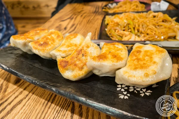 Fried pork dumplings at KungFu Kitchen in Times Square, NYC