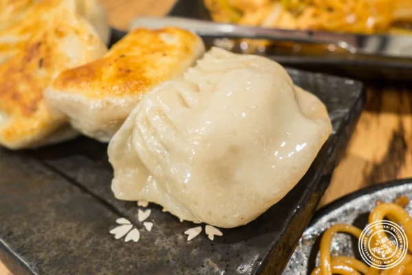 Fried dumplings at KungFu Kitchen in Times Square, NYC