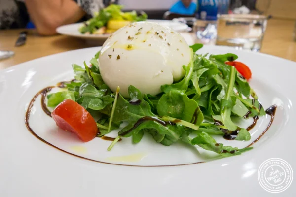 Burrata at Al Vicoletto near Union Square, NYC