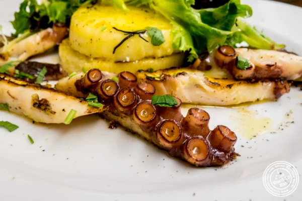 Grilled Portuguese octopus at Al Vicoletto near Union Square, NYC
