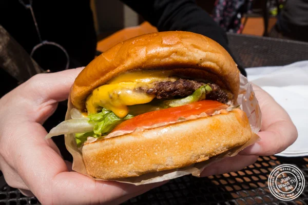 Cheeseburger at In-N-Out Burger in San Francisco, CA