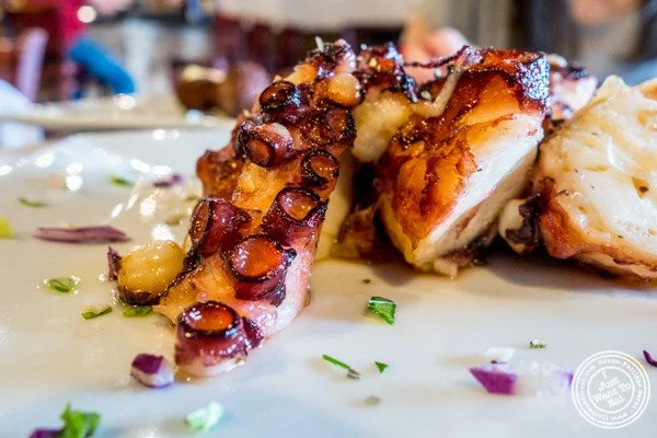 Grilled octopus at Jimbo's, Greek Restaurant and Bar in Astoria, Queens