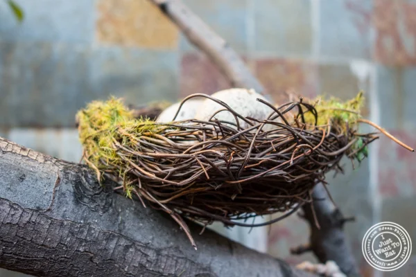 Nest at Kurry Qulture in Astoria, Queens
