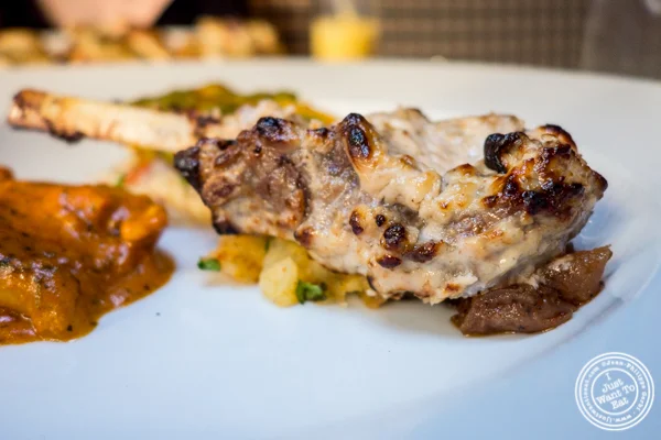 Lamb chop at Kurry Qulture in Astoria, Queens