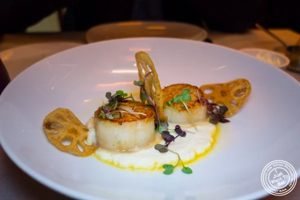 Scallops at Robert in The Museum of Art and Design, NYC, NY