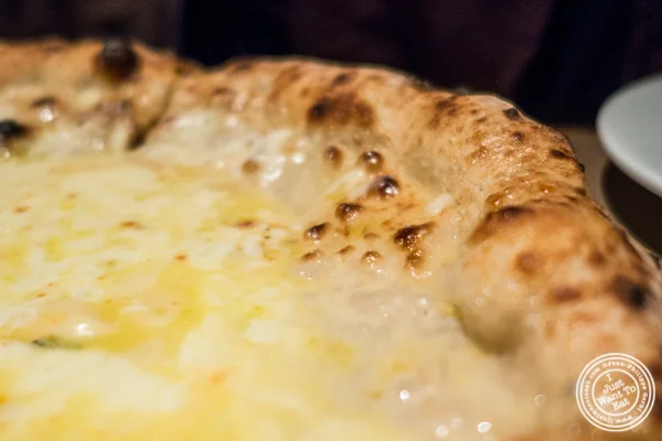 Quattro formaggi pizza at Ribalta in NYC, NY