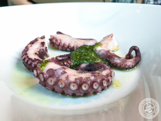 Octopus at Gaudi Café in Grenoble, France