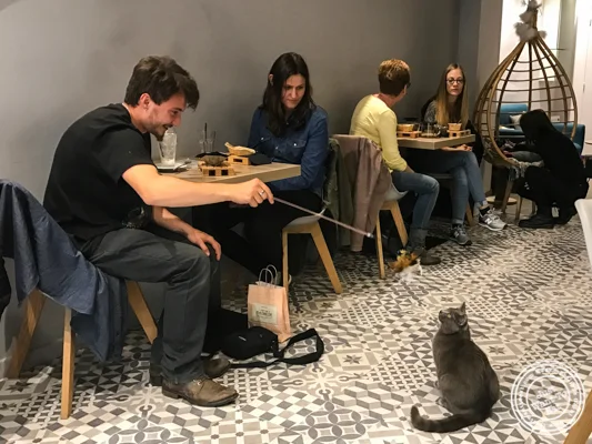 Monsieur Bruno playing with patrons at Neko Cafe in Grenoble, France