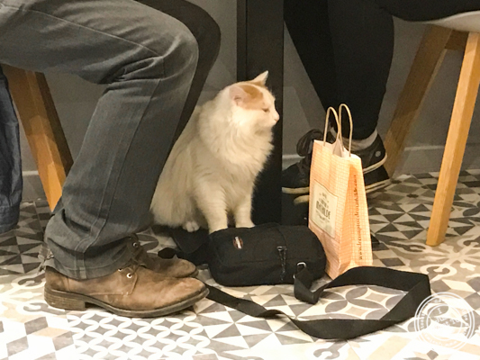 Noe at Neko Cafe in Grenoble, France