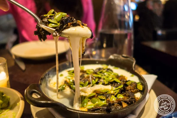 Melted cheese with black trumpets mushrooms at Empellon Taqueria in NYC, NY