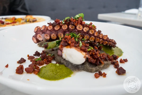 Charred octopus at Porter Collins in Hoboken, NJ