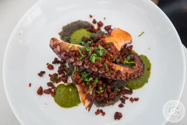 Charred octopus at Porter Collins in Hoboken, NJ